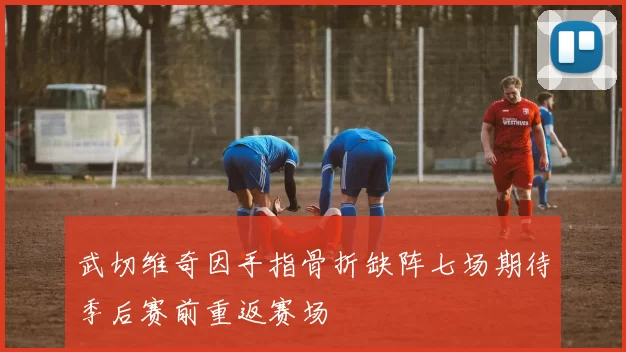 武切维奇因手指骨折缺阵七场期待季后赛前重返赛场
